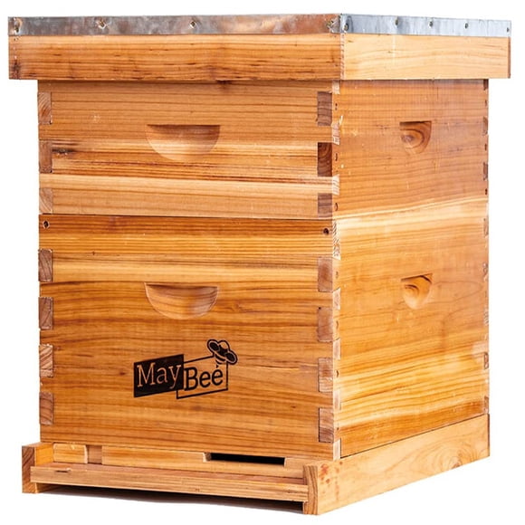 Kit de inicio de colmenas para abejas MayBee de 10 marcos con suministros