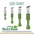 thumbnail image 6 of Nylabone Nutri Dent Fresh Breath Flavored Dental Dog Chew Treats Mini (160 Count), 6 of 13
