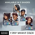 thumbnail image 7 of L'Oreal Paris Feria Multi Faceted Shimmering Color Hair Coloring Tool Kit, 7 of 7