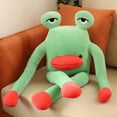 thumbnail image 2 of 60CM Frog Pillow Stuffed Doll Funny Toy for Children Strabismus, 2 of 5