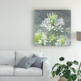 thumbnail image 3 of Trademark Fine Art 'Farmhouse Cleome I' Canvas Art by Julia Purinton, 3 of 3