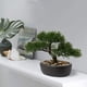 thumbnail image 2 of Árbol Bonsái Artificial Briful Junípero con Maceta de Cerámica 23 cm, 2 of 7