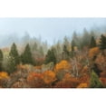 thumbnail image 3 of Burt, D. 18x13 Black Modern Framed Museum Art Print Titled - Autumn Mountain, 3 of 5