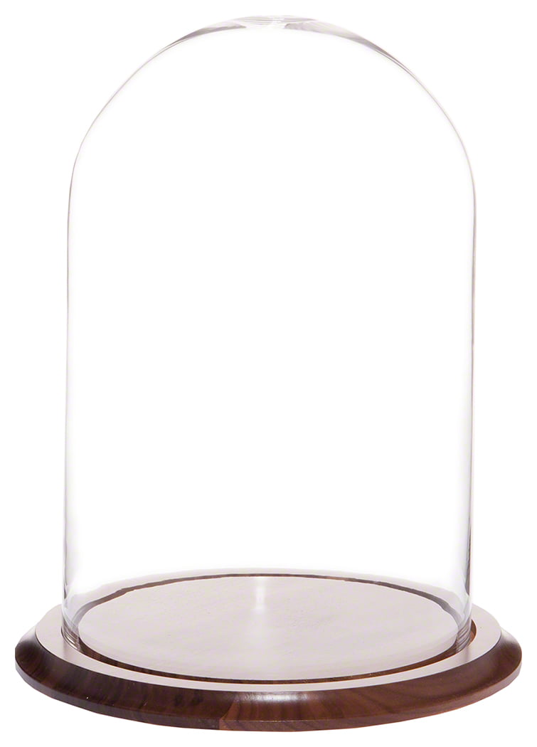 Walnut Base Plymor 9.75 x 10 Glass Display Dome Cloche