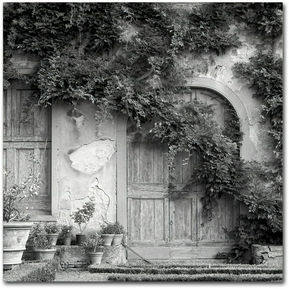Trademark Fine Art "Tuscany VI" Canvas Art by Alan Blaustein