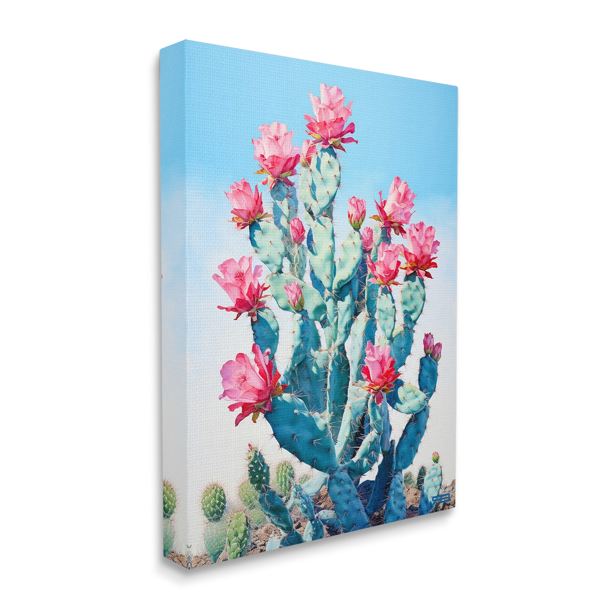 Stupell Industries Southwestern Cactus Flowers Botanical & Floral Painting Gallery Wrapped Canvas Art Print Wall Art, 24 x 30