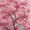 Blossom, variant on Glittering Pink Cherry Blossom Canvas Print Wall Art for Living Room Bedroom Office Hallway Studio Decor