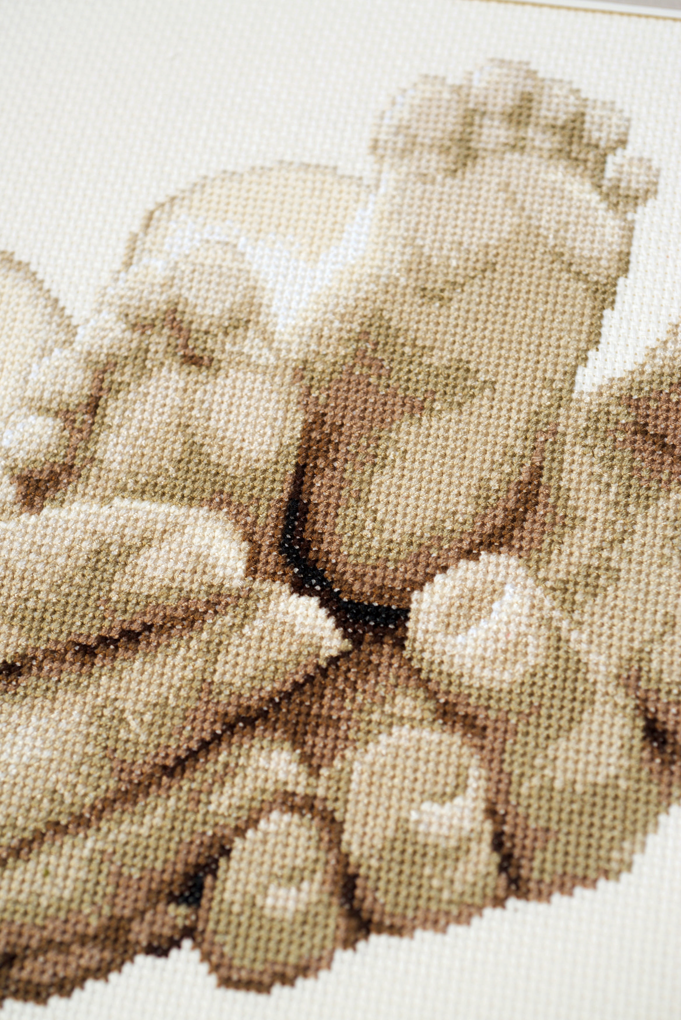 Vervaco Birth Record Counted Cross Stitch Kit 8.8"X9.2"-Baby Feet In Ecru (14 Count)
