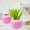 Pink, variant on Zawou Blue Pumpkin-Shaped Decorative Vase with Petal Design, Creative Plastic Flower Pot for Hydroponic Plants, Indoor Home Office, Autumn and Halloween Seasonal Décor