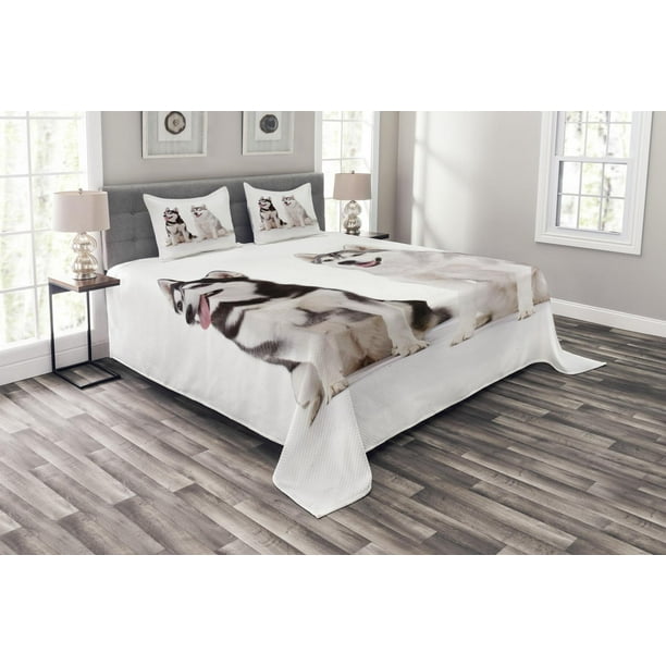 Alaskan Malamute Bedspread Set King Size Furry Arctic Doggies Husky Whelp Pedigree Pet Happy Siberian Mammal Quilted 3 Piece Decor Coverlet With 2 Pillow Shams Black Cream White By Ambesonne Com Alaskan Malamute Bedspread Set King, Alaskan King Bedspread