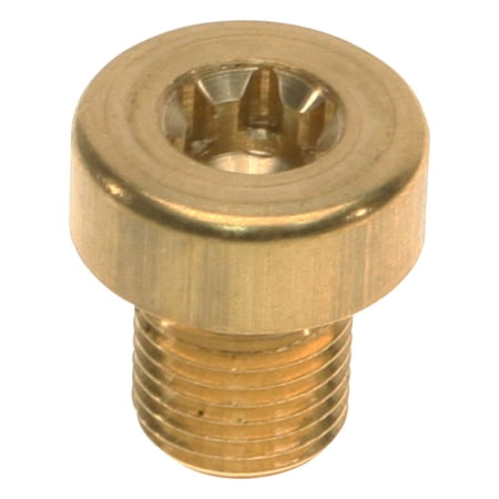Genuine Fuel Plug