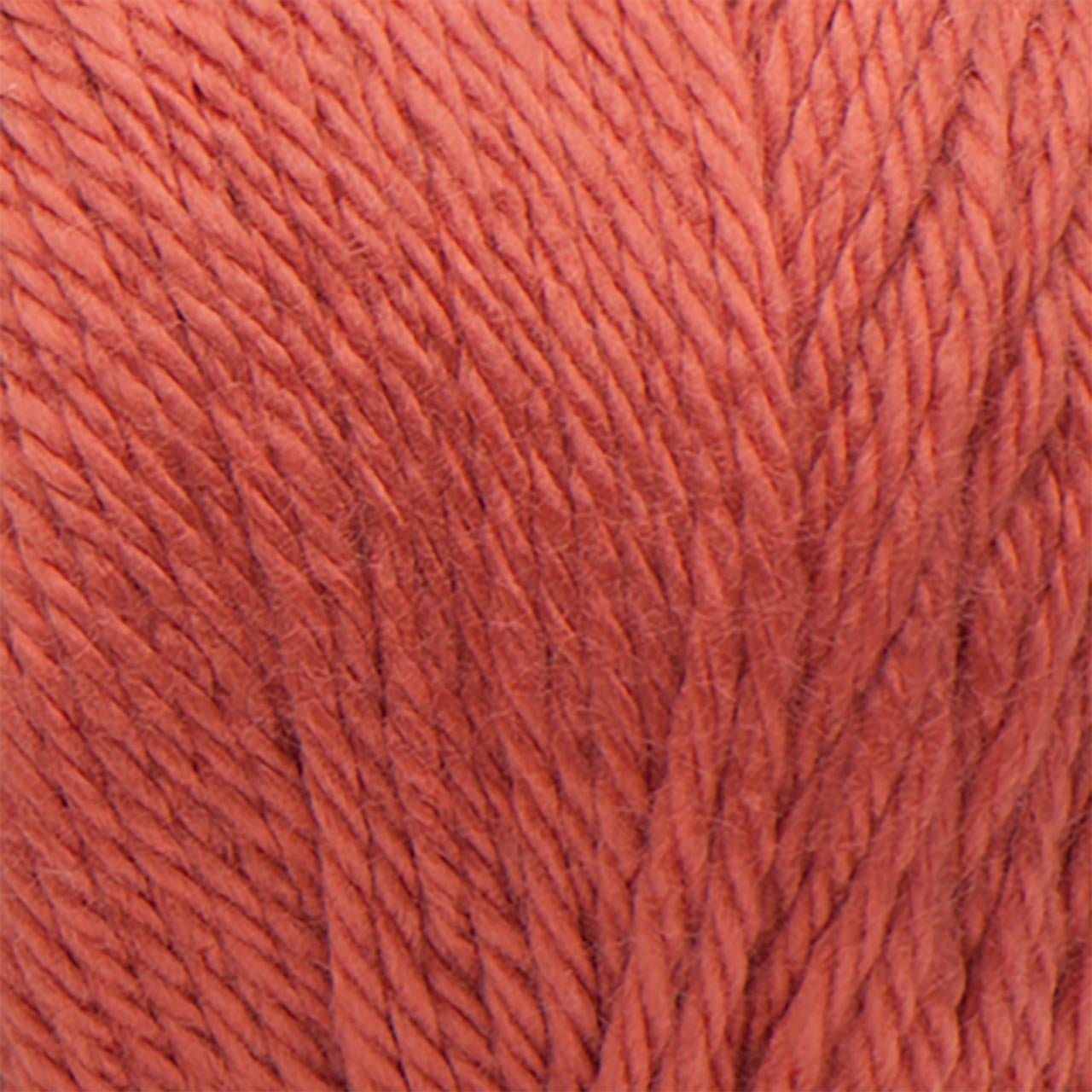 Caron® Simply Soft® #4 Medium Acrylic Yarn, Persimmon 6oz/170g, 315 Yards (9 Pack)