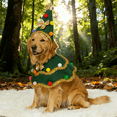 thumbnail image 7 of Dog Christmas Outfit with Christmas Tree Hat and Dress, 2-Piece Set, Green, for Small Dogs, Pet Holiday, 7 of 7