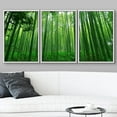 thumbnail image 3 of wall26 Framed Canvas Print Wall Art Set Underneath The Green Bamboo Stalks Nature Wilderness Photography Realism Contemporary Colorful Ultra for Living Room, Bedroom, Office - 16"x24"x3 Whi, 3 of 5