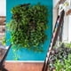 thumbnail image 3 of Bolsa para plantas transpirable que ahorra espacio, jardín de pared vertical con funciones decorativas y de fácil montaje para uso en interiores y exteriores, 3 of 8