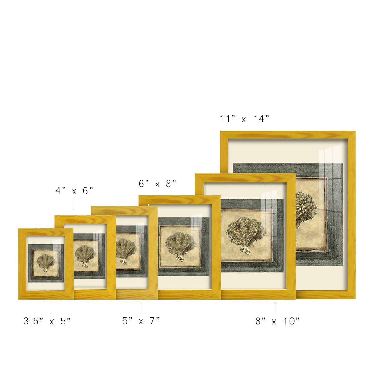 Mini Exotic Coral VI (U) - Framed Print w/glass - Sunflower Yellow