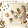 thumbnail image 3 of Wall Mounted Glass Planter, Natural Wood Slice Single Test Tube Hydroponic Vase, Hanging Plant Propagation Station for Indoor Home Decor and Office Wall Art Decoration, 3 of 6