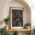 thumbnail image 5 of Untitled - Photography Nature Forest Woodland Abstract Wilderness Botanical Unframed Wall Art Print 12 x 18 inches, 5 of 60
