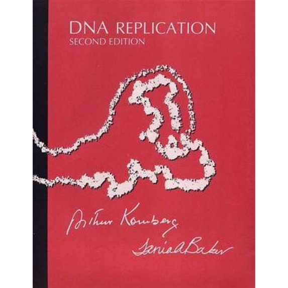 Pre-Owned DNA Replication (Paperback)