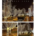 thumbnail image 1 of Gypsophila String Lights Christmas Lights Wedding String Lights Holiday Decoration, 1 of 2