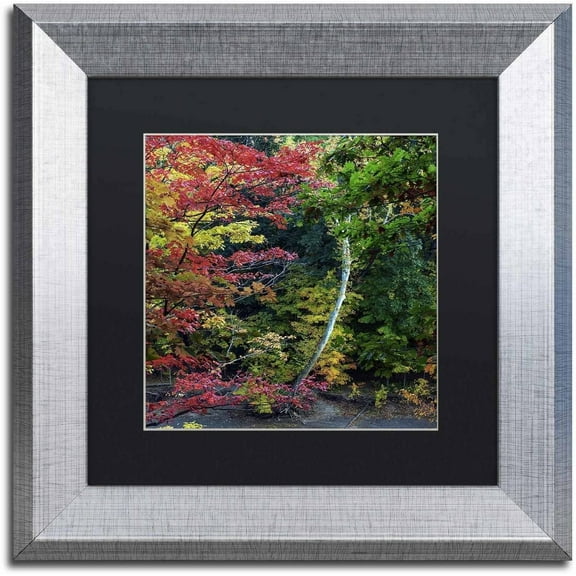 Trademark Fine Art "All the Colors of October in Ohio" Canvas Art by Kurt Shaffer, Black Matte, Silver Frame