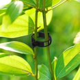 thumbnail image 5 of 200 PCS Garden Plant Support Clips, Vine, Tomato Clips, Plastic Trellis Clips, Grow Plants Upright and Make Healthier, 5 of 5