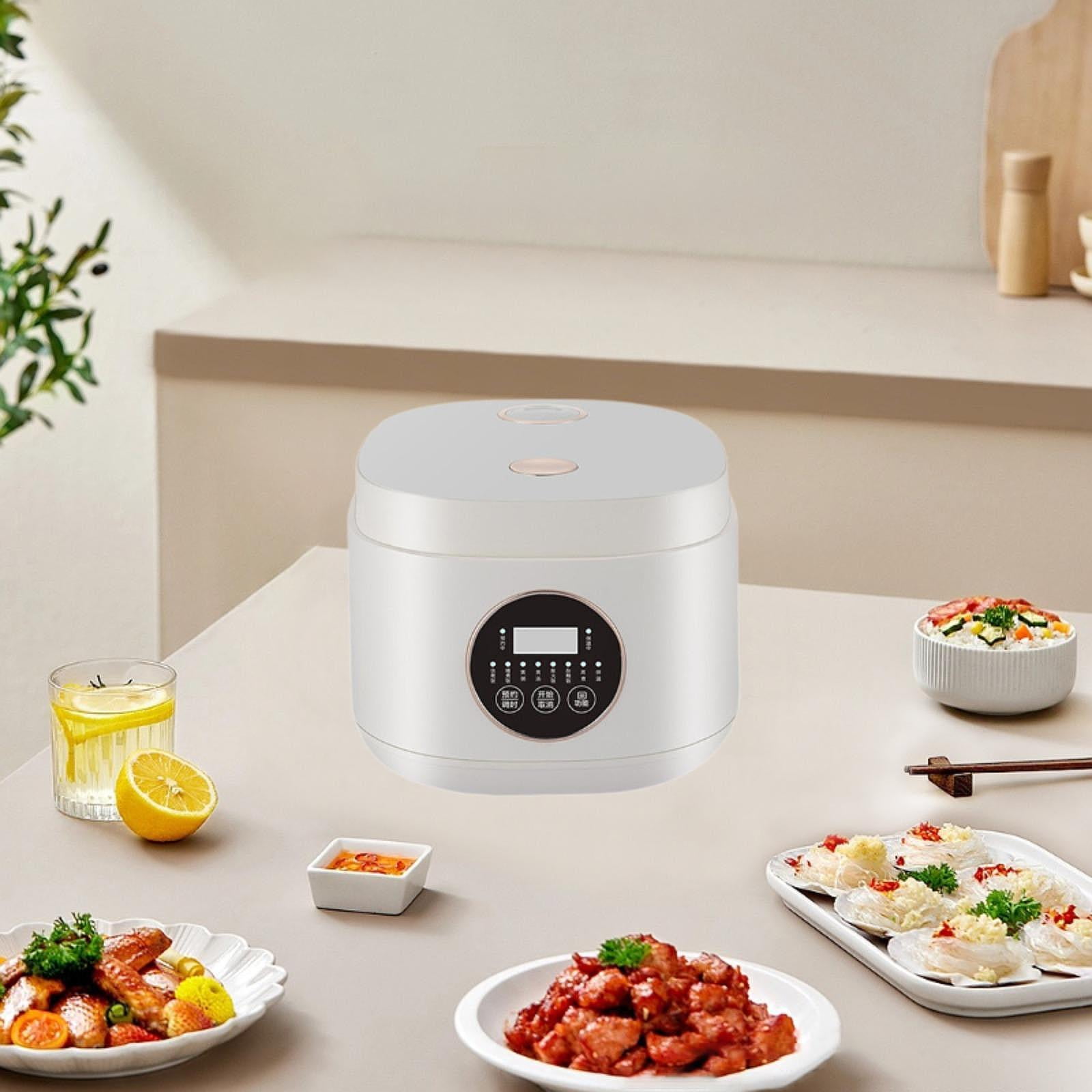 Fiocias Electric Rice Cooker Rice Cooking Pot Portable Auto Keep Warm Multifunctional 2L