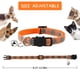 thumbnail image 4 of Collares para gatos YUIONNAY Breakaway Kitten con campana ajustable, 4 of 7