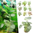lianhanyi Aquarium Artificial Waterweed Fish Tank Grass Water Plants