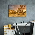 thumbnail image 4 of Epic Graffiti 'Joshua Tree Golden Hour' by Mark A Paulda, Canvas Wall Art, 26"x18", 4 of 8
