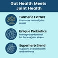 thumbnail image 4 of BB Company Provitalize Probiotic Supplements for Menopause Weight, Gut Health, Joint Support, 60 Ct, 4 of 8