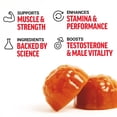 thumbnail image 2 of Force Factor Test X180 Gummies Testosterone Booster for Men with Tongkat Ali, Horny Goat Weed, Tribulus Terrestris, Fenugreek, & Black Maca, Supplement Men, Berry Punch, 60 Gummies, 1-Pack, 2 of 5