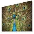 thumbnail image 1 of Design Art - Grand Peacock, 1 of 5