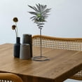 thumbnail image 4 of unbranded 3Ud Plantas Negro De Metal Con Estructura En Espiral Para Uso En O Interior, 4 of 7