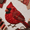 Red Cardinal A3, variant on Beginner-Friendly 3D Patchwork Bird DIY Craft Kit, Vintage Floral Fabric Sewing Art Set for Beginners, Handmade Bird Wall Decor Craft Supplies Crow