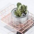 thumbnail image 5 of 2X Panier de Rangement en Métal Boîte de Rangement Grille en Fer Plateau de Rangement Panier en Filet Bacs de Rangement Panier de Rangement Or Fruit, 5 of 5