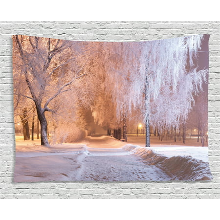 Winter Tapestry, Winter Night Scenery with Frozen Trees and Snowy Road Landscape Photography Print, Wall Hanging for Bedroom Living Room Dorm Decor, 60W X 40L Inches, Salmon White, by