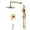 Brushed Gold, variant on sumerain Brushed Nickel Rainfall Bathroom Shower System, Wall Mounted Slide Bar Shower Faucet Set with Shower Head and Handheld, Valve and Trim Kit Included