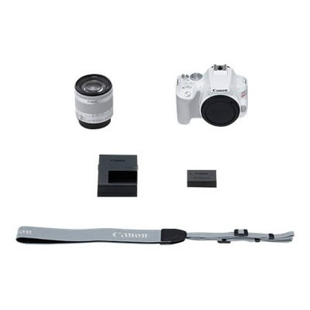 Canon - EOS R Mirrorless 4K Video Camera with RF 24-105mm f/4L IS USM Lens