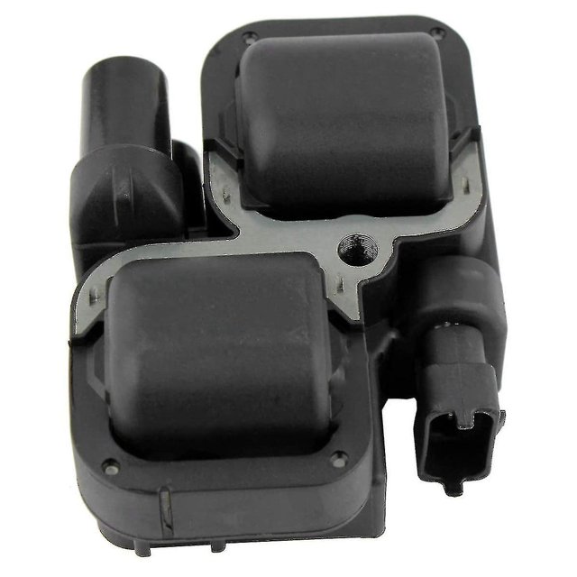 Bobina de encendido externa 2876049 4010425 compatible con Polaris Rzr 800 900 1000 Xp Efi 2005-2020