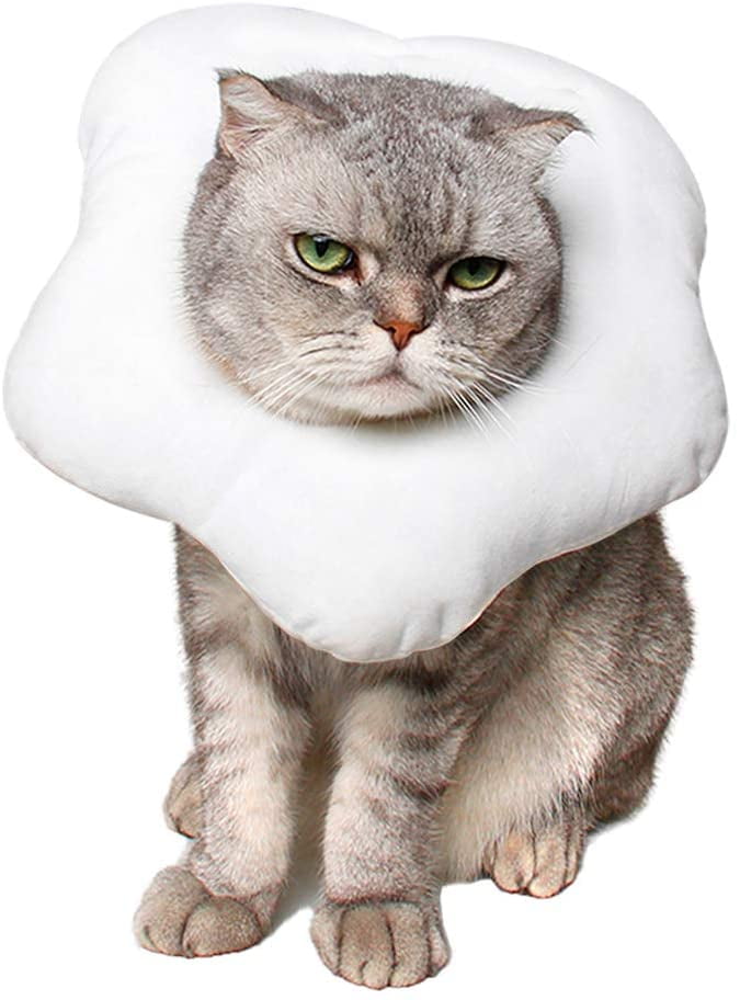 electronic collar for cats