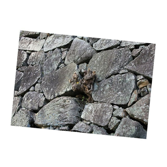 MERIGLARE Fond d'Aquarium Affiche Toile de Fond de Réservoir PVC Adhésif Corail sous-Marin St 122x61cm