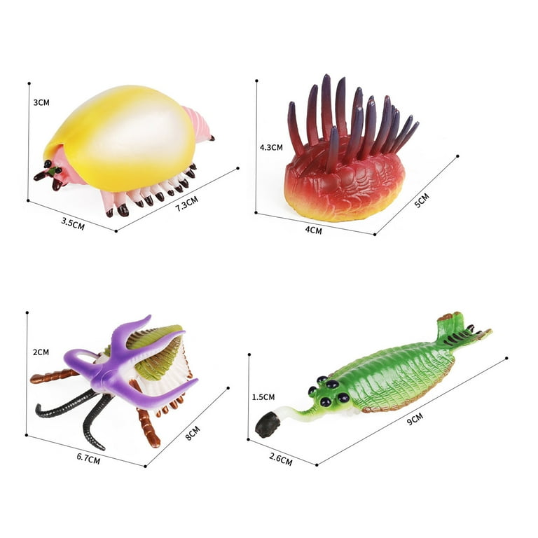 D-GROEE Trilobite Figurine Cambrian Period Ocean Animals Clear