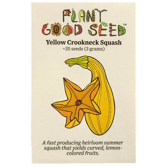 Crookneck Summer Squash Seeds
