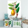 thumbnail image 2 of Designart ' Ancient Fruits I ' Farmhouse Canvas Wall Art Print, 2 of 4