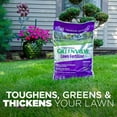 thumbnail image 4 of GreenView Fairway Formula Lawn Fertilizer - 16.5 lb. - Covers 5,000 Sq. ft., 4 of 9