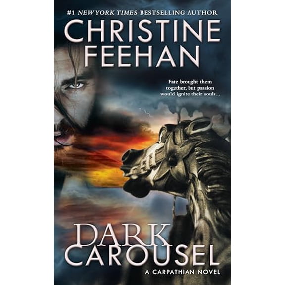 Pre-Owned Dark Carousel (Mass Market Paperback) 0515156124 9780515156126