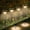 SP3-Warm White, variant on Linkind Solar Pathway Lights 4 Pack, Solar Lights Outdoor, Warm White Path Waterproof for Walkway Yard Landscape Garden
