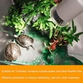 thumbnail image 1 of 25/50/75W Full Spectrum UVA UVB Heat Emitter Lamp Bulb Light for Reptile Brooder, 1 of 4