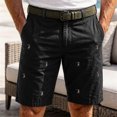 thumbnail image 2 of Bpyeka Men's Casual Embroidered Chino Shorts, Solid Cotton Blend Straight Leg Shorts with Pockets for Work, Golf and Everyday, 2 of 9